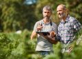 Major cannabis cultivation supply chain provider closes 12 stores
