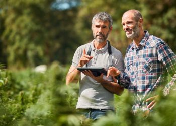 Major cannabis cultivation supply chain provider closes 12 stores
