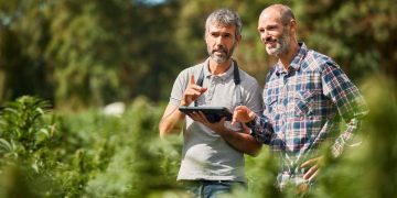 Major cannabis cultivation supply chain provider closes 12 stores