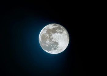 MoonPay Buys Entendre To Bring AI Agents Into Stablecoin…